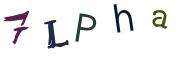 圖片的 CAPTCHA