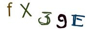 圖片的 CAPTCHA