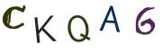 圖片的 CAPTCHA