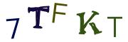 圖片的 CAPTCHA