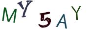 圖片的 CAPTCHA