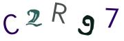 圖片的 CAPTCHA