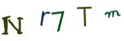 圖片的 CAPTCHA