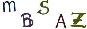 圖片的 CAPTCHA