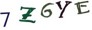 圖片的 CAPTCHA