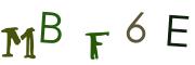 圖片的 CAPTCHA
