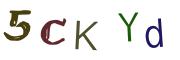 圖片的 CAPTCHA