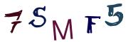 圖片的 CAPTCHA