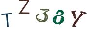 圖片的 CAPTCHA