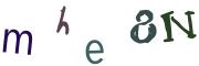 圖片的 CAPTCHA