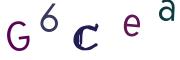 圖片的 CAPTCHA