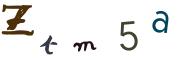 圖片的 CAPTCHA