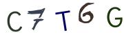 圖片的 CAPTCHA