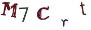 圖片的 CAPTCHA