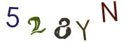 圖片的 CAPTCHA