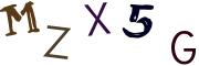 圖片的 CAPTCHA