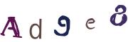 圖片的 CAPTCHA