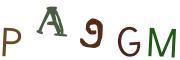 圖片的 CAPTCHA