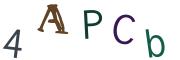 圖片的 CAPTCHA