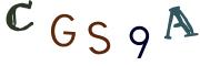 圖片的 CAPTCHA