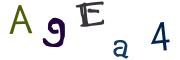 圖片的 CAPTCHA