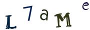 圖片的 CAPTCHA