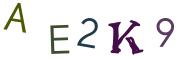 圖片的 CAPTCHA