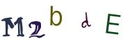 圖片的 CAPTCHA