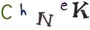 圖片的 CAPTCHA