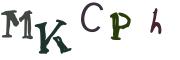 圖片的 CAPTCHA