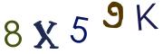 圖片的 CAPTCHA