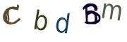 圖片的 CAPTCHA