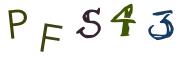 圖片的 CAPTCHA