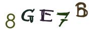 圖片的 CAPTCHA