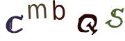 圖片的 CAPTCHA