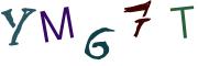 圖片的 CAPTCHA