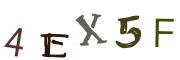圖片的 CAPTCHA