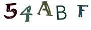 圖片的 CAPTCHA