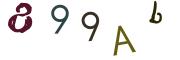 圖片的 CAPTCHA