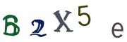 圖片的 CAPTCHA