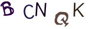 圖片的 CAPTCHA