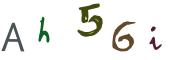 圖片的 CAPTCHA