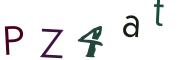 圖片的 CAPTCHA