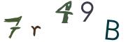 圖片的 CAPTCHA