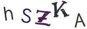 圖片的 CAPTCHA
