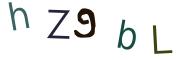 圖片的 CAPTCHA