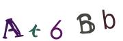 圖片的 CAPTCHA