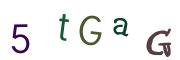 圖片的 CAPTCHA