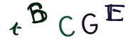 圖片的 CAPTCHA