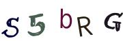 圖片的 CAPTCHA